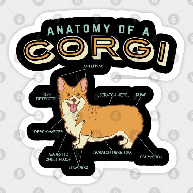 Anatomy Of A Corgi Shirt Funny Anatomy Shirts Funny Corgi Shirt